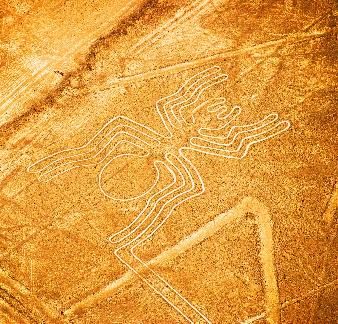 image-nazca